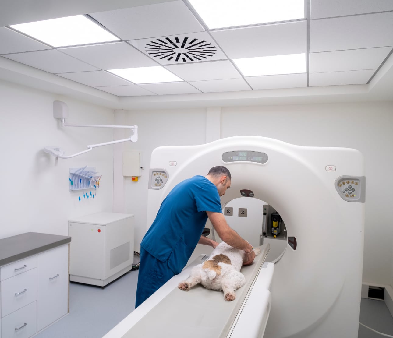 Chien entrant dans un scanner