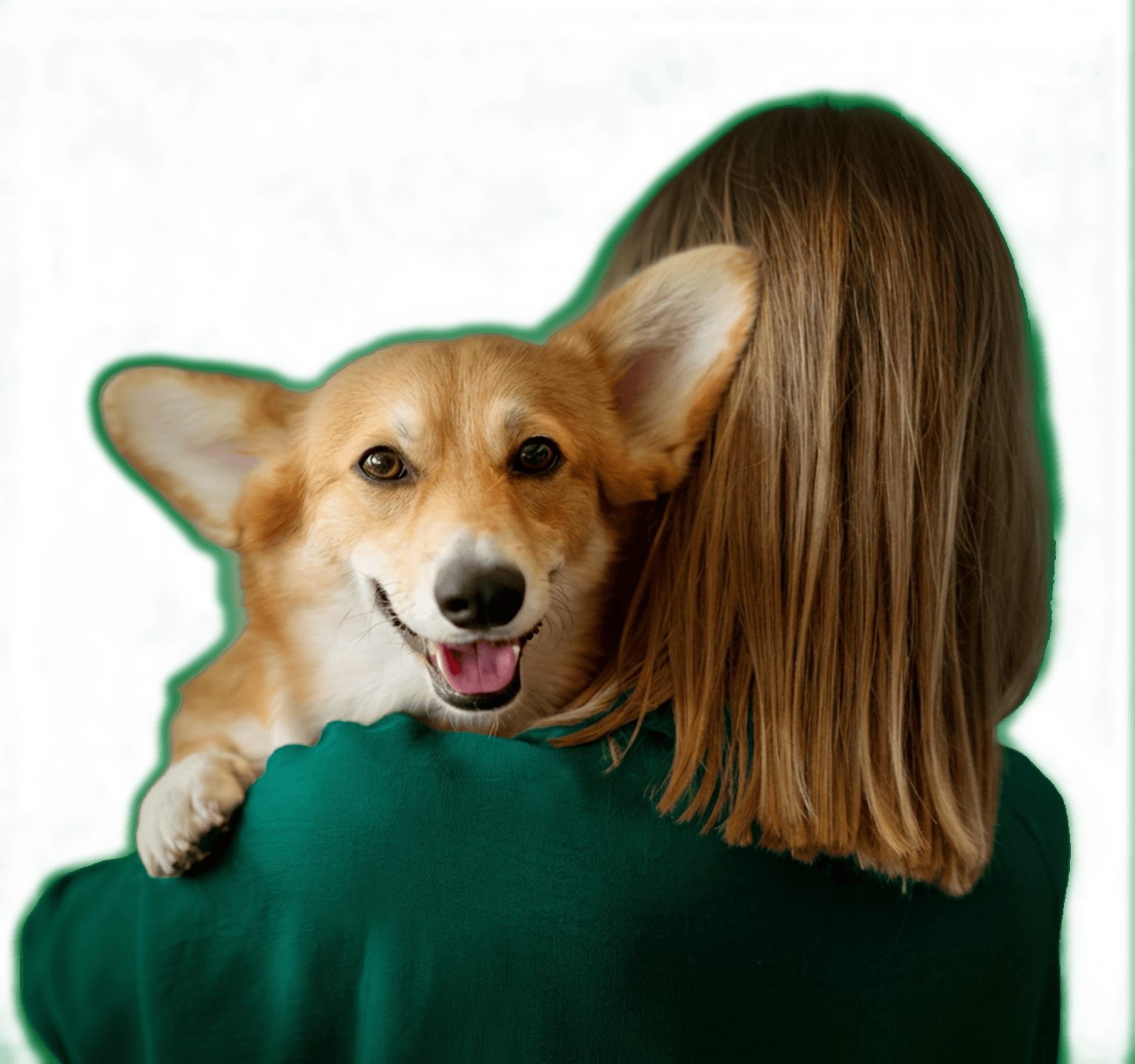 Chien corgi et patiente clinique