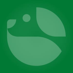 Icône Vetesia fond vert