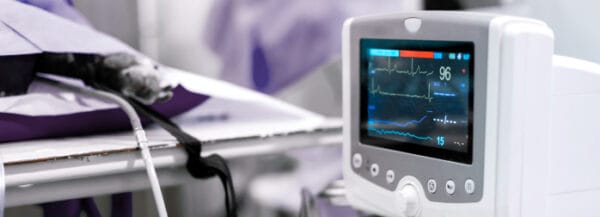 Moniteur cardiologie vétérinaire